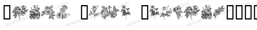 Black Rose Regular字体转换